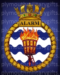HMS Alarm Magnet